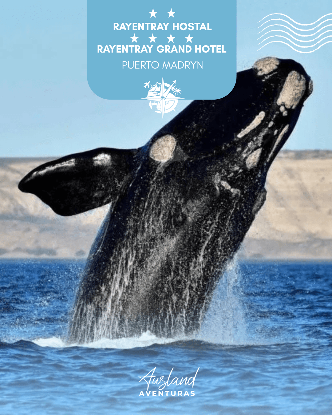 Flyer del viaje a Puerto Madryn, categoría Nacionales